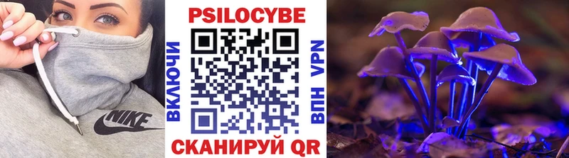 магазин  наркотиков  Янаул  Галлюциногенные грибы Psilocybine cubensis 