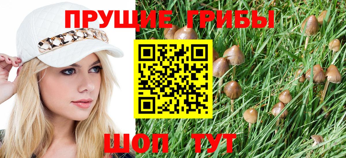 Псилоцибиновые грибы Psilocybe Янаул