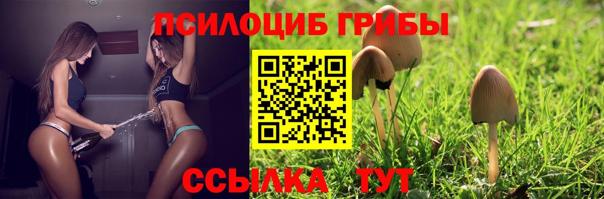 Галлюциногенные грибы прущие грибы  Вход с VPN  дарнет шоп  Янаул 